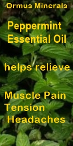 Ormus Minerals --Magnesium Oil roll On for Muscle Pain with Organic Peppermint Essential Oil